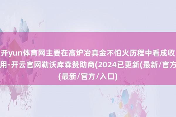 开yun体育网主要在高炉冶真金不怕火历程中看成收复剂使用-开云官网勒沃库森赞助商(2024已更新(最新/官方/入口)